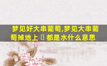 梦见好大串葡萄,梦见大串葡萄掉地上 ☘ 都是水什么意思